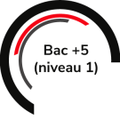 Bac +5 (niveau 1)